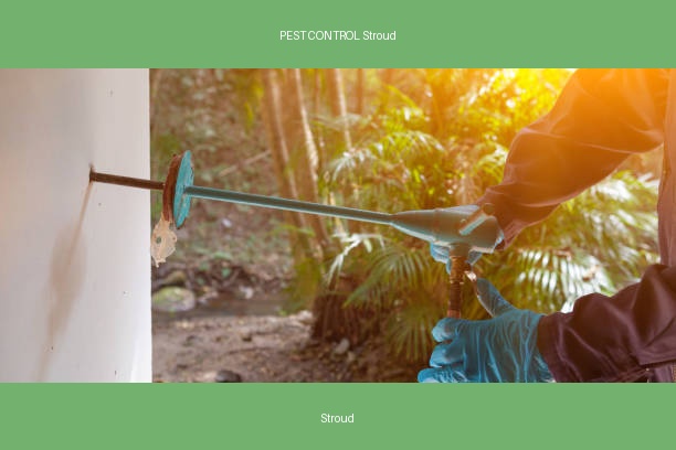 PEST CONTROL Stroud